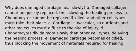 Why does damaged cartilage heal slowly? a. Damaged collagen cannot be quickly replaced, thus slowing the healing process. b. Chondrocytes cannot be replaced if killed, and other cell types must take their place. c. Cartilage is avascular, so nutrients and other molecules must diffuse to the site of injury. d. Chondrocytes divide more slowly than other cell types, delaying the healing process. e. Damaged cartilage becomes calcified, thus blocking the movement of materials required for healing.