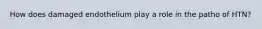 How does damaged endothelium play a role in the patho of HTN?