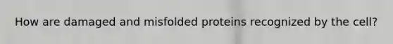 How are damaged and misfolded proteins recognized by the cell?