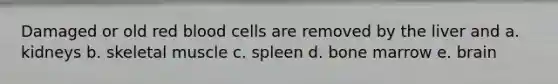 Damaged or old red blood cells are removed by the liver and a. kidneys b. skeletal muscle c. spleen d. bone marrow e. brain