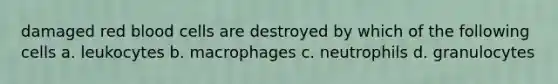 damaged red blood cells are destroyed by which of the following cells a. leukocytes b. macrophages c. neutrophils d. granulocytes