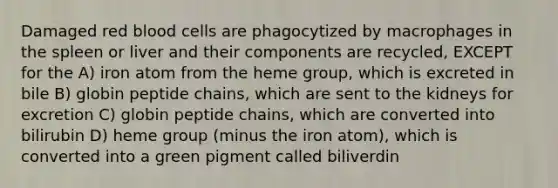 Damaged red blood cells are phagocytized by macrophages in the spleen or liver and their components are recycled, EXCEPT for the A) iron atom from the heme group, which is excreted in bile B) globin peptide chains, which are sent to the kidneys for excretion C) globin peptide chains, which are converted into bilirubin D) heme group (minus the iron atom), which is converted into a green pigment called biliverdin