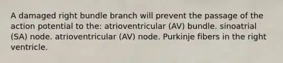 A damaged right bundle branch will prevent the passage of the action potential to the: atrioventricular (AV) bundle. sinoatrial (SA) node. atrioventricular (AV) node. Purkinje fibers in the right ventricle.