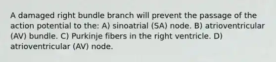 A damaged right bundle branch will prevent the passage of the action potential to the: A) sinoatrial (SA) node. B) atrioventricular (AV) bundle. C) Purkinje fibers in the right ventricle. D) atrioventricular (AV) node.