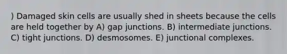 ) Damaged skin cells are usually shed in sheets because the cells are held together by A) gap junctions. B) intermediate junctions. C) tight junctions. D) desmosomes. E) junctional complexes.