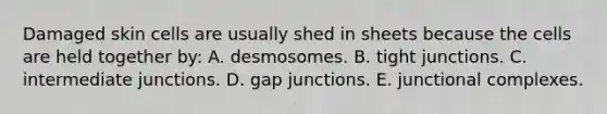 Damaged skin cells are usually shed in sheets because the cells are held together by: A. desmosomes. B. tight junctions. C. intermediate junctions. D. gap junctions. E. junctional complexes.