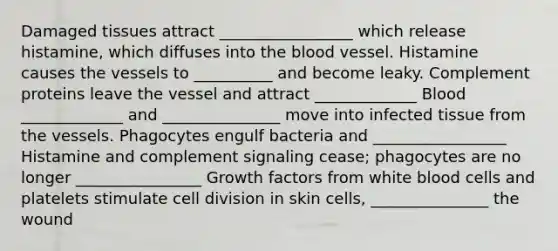 Damaged tissues attract _________________ which release histamine, which diffuses into the blood vessel. Histamine causes the vessels to __________ and become leaky. Complement proteins leave the vessel and attract _____________ Blood _____________ and _______________ move into infected tissue from the vessels. Phagocytes engulf bacteria and _________________ Histamine and complement signaling cease; phagocytes are no longer ________________ Growth factors from white blood cells and platelets stimulate cell division in skin cells, _______________ the wound