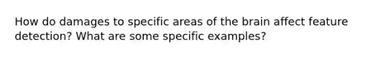 How do damages to specific areas of the brain affect feature detection? What are some specific examples?