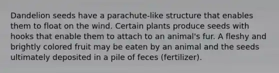 Dandelion seeds have a parachute-like structure that enables them to float on the wind. Certain plants produce seeds with hooks that enable them to attach to an animal's fur. A fleshy and brightly colored fruit may be eaten by an animal and the seeds ultimately deposited in a pile of feces (fertilizer).