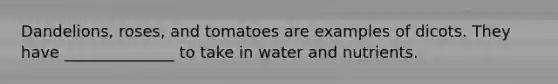 Dandelions, roses, and tomatoes are examples of dicots. They have ______________ to take in water and nutrients.