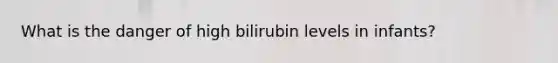 What is the danger of high bilirubin levels in infants?