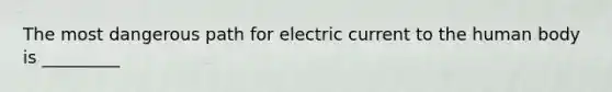 The most dangerous path for electric current to the human body is _________