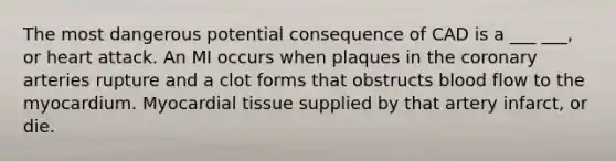 The most dangerous potential consequence of CAD is a ___ ___, or heart attack. An MI occurs when plaques in the coronary arteries rupture and a clot forms that obstructs blood flow to the myocardium. Myocardial tissue supplied by that artery infarct, or die.