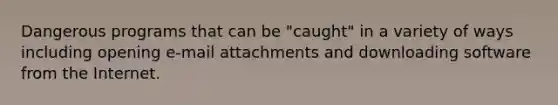 Dangerous programs that can be "caught" in a variety of ways including opening e-mail attachments and downloading software from the Internet.