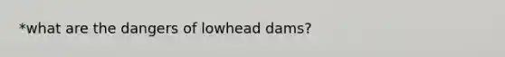 *what are the dangers of lowhead dams?