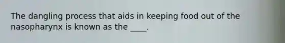 The dangling process that aids in keeping food out of the nasopharynx is known as the ____.