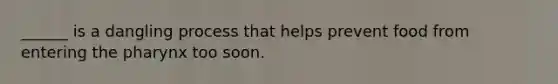 ______ is a dangling process that helps prevent food from entering the pharynx too soon.