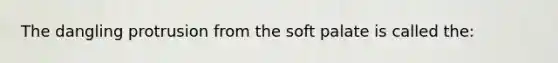 The dangling protrusion from the soft palate is called the: