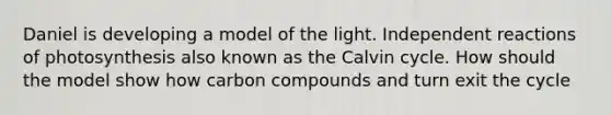 Daniel is developing a model of the light. Independent reactions of photosynthesis also known as the Calvin cycle. How should the model show how carbon compounds and turn exit the cycle