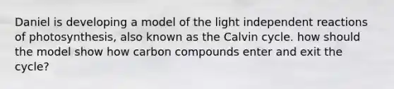 Daniel is developing a model of the light independent reactions of photosynthesis, also known as the Calvin cycle. how should the model show how carbon compounds enter and exit the cycle?