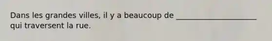 Dans les grandes villes, il y a beaucoup de _____________________ qui traversent la rue.