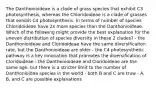 The Danthonioideae is a clade of grass species that exhibit C3 photosynthesis, whereas the Chloridoideae is a clade of grasses that exhibit C4 photosynthesis. In terms of number of species Chloridoideae have 2x more species than the Danthonioideae. Which of the following might provide the best explanation for the uneven distribution of species diversity in these 2 clades? - the Danthonioideae and Cloridoideae have the same diversificaiton rate, but the Danthonioideae are older - the C4 photosynthetic pathway is a key innovation that promotes the diversification of Cloridoideae - the Danthonioideae and Cloridoideae are the same age, but there is a stricter limit to the number of Danthonioidea species in the world - both B and C are truw - A, B, and C are possible explanations