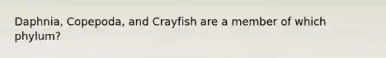 Daphnia, Copepoda, and Crayfish are a member of which phylum?