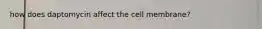 how does daptomycin affect the cell membrane?