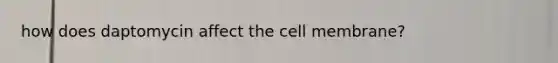 how does daptomycin affect the cell membrane?