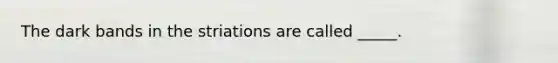 The dark bands in the striations are called _____.