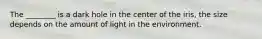 The ________ is a dark hole in the center of the iris, the size depends on the amount of light in the environment.