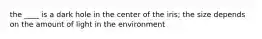the ____ is a dark hole in the center of the iris; the size depends on the amount of light in the environment