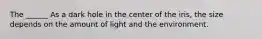 The ______ As a dark hole in the center of the iris, the size depends on the amount of light and the environment.