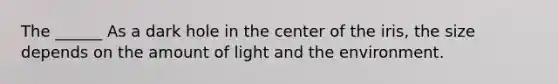 The ______ As a dark hole in the center of the iris, the size depends on the amount of light and the environment.