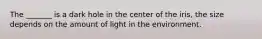 The _______ is a dark hole in the center of the iris, the size depends on the amount of light in the environment.