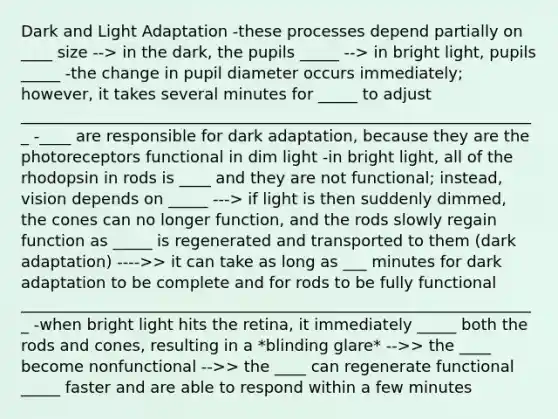 Dark and Light Adaptation -these processes depend partially on ____ size --> in the dark, the pupils _____ --> in bright light, pupils _____ -the change in pupil diameter occurs immediately; however, it takes several minutes for _____ to adjust __________________________________________________________________ -____ are responsible for dark adaptation, because they are the photoreceptors functional in dim light -in bright light, all of the rhodopsin in rods is ____ and they are not functional; instead, vision depends on _____ ---> if light is then suddenly dimmed, the cones can no longer function, and the rods slowly regain function as _____ is regenerated and transported to them (dark adaptation) ---->> it can take as long as ___ minutes for dark adaptation to be complete and for rods to be fully functional __________________________________________________________________ -when bright light hits the retina, it immediately _____ both the rods and cones, resulting in a *blinding glare* -->> the ____ become nonfunctional -->> the ____ can regenerate functional _____ faster and are able to respond within a few minutes