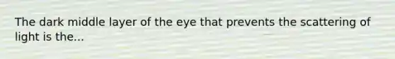 The dark middle layer of the eye that prevents the scattering of light is the...