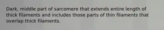 Dark, middle part of sarcomere that extends entire length of thick filaments and includes those parts of thin filaments that overlap thick filaments.