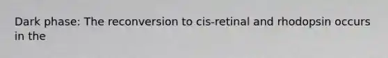 Dark phase: The reconversion to cis-retinal and rhodopsin occurs in the