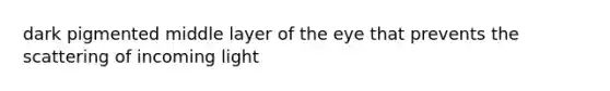 dark pigmented middle layer of the eye that prevents the scattering of incoming light