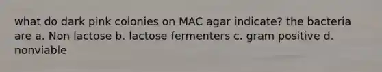 what do dark pink colonies on MAC agar indicate? the bacteria are a. Non lactose b. lactose fermenters c. gram positive d. nonviable