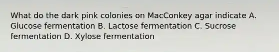 What do the dark pink colonies on MacConkey agar indicate A. Glucose fermentation B. Lactose fermentation C. Sucrose fermentation D. Xylose fermentation