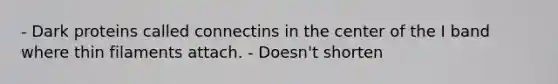 - Dark proteins called connectins in the center of the I band where thin filaments attach. - Doesn't shorten