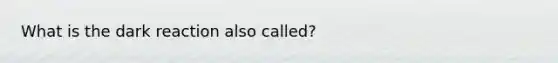 What is the dark reaction also called?