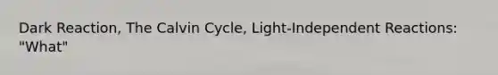 Dark Reaction, The Calvin Cycle, Light-Independent Reactions: "What"