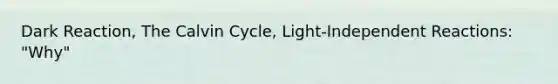 Dark Reaction, The Calvin Cycle, Light-Independent Reactions: "Why"