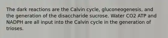 The dark reactions are the Calvin cycle, gluconeogenesis, and the generation of the disaccharide sucrose. Water CO2 ATP and NADPH are all input into the Calvin cycle in the generation of trioses.