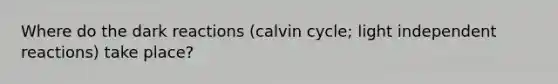 Where do the dark reactions (calvin cycle; light independent reactions) take place?