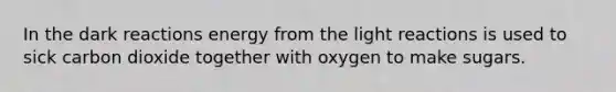 In the dark reactions energy from the light reactions is used to sick carbon dioxide together with oxygen to make sugars.