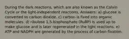 During the dark reactions, which are also known as the Calvin Cycle or the light-independent reactions, Answers: a) glucose is converted to carbon dioxide. c) carbon is fixed into organic molecules. d) ribulose 1,5-bisphosphate (RuBP) is used up to make glucose and is later regenerated in the light reactions. e) ATP and NADPH are generated by the process of carbon fixation.